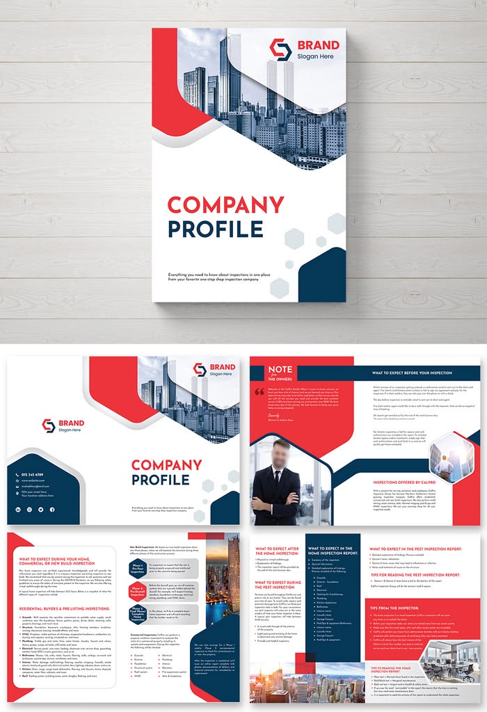 Contoh Desain Company Profile 6